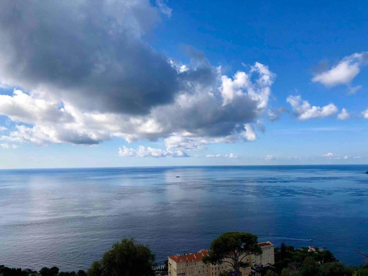 Viangella - Dramatic Sea View! Top Floor 2Km To Monaco Кап д'Аил Екстериор снимка